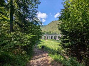 (T)railway Hatscher 2026