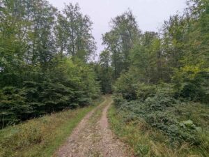 Heiligenstadt nach Hütteldorf