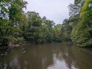 Dehnepark