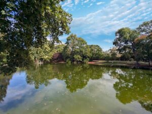 Wiener Stadtpark