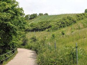 Stadtwanderweg 1
